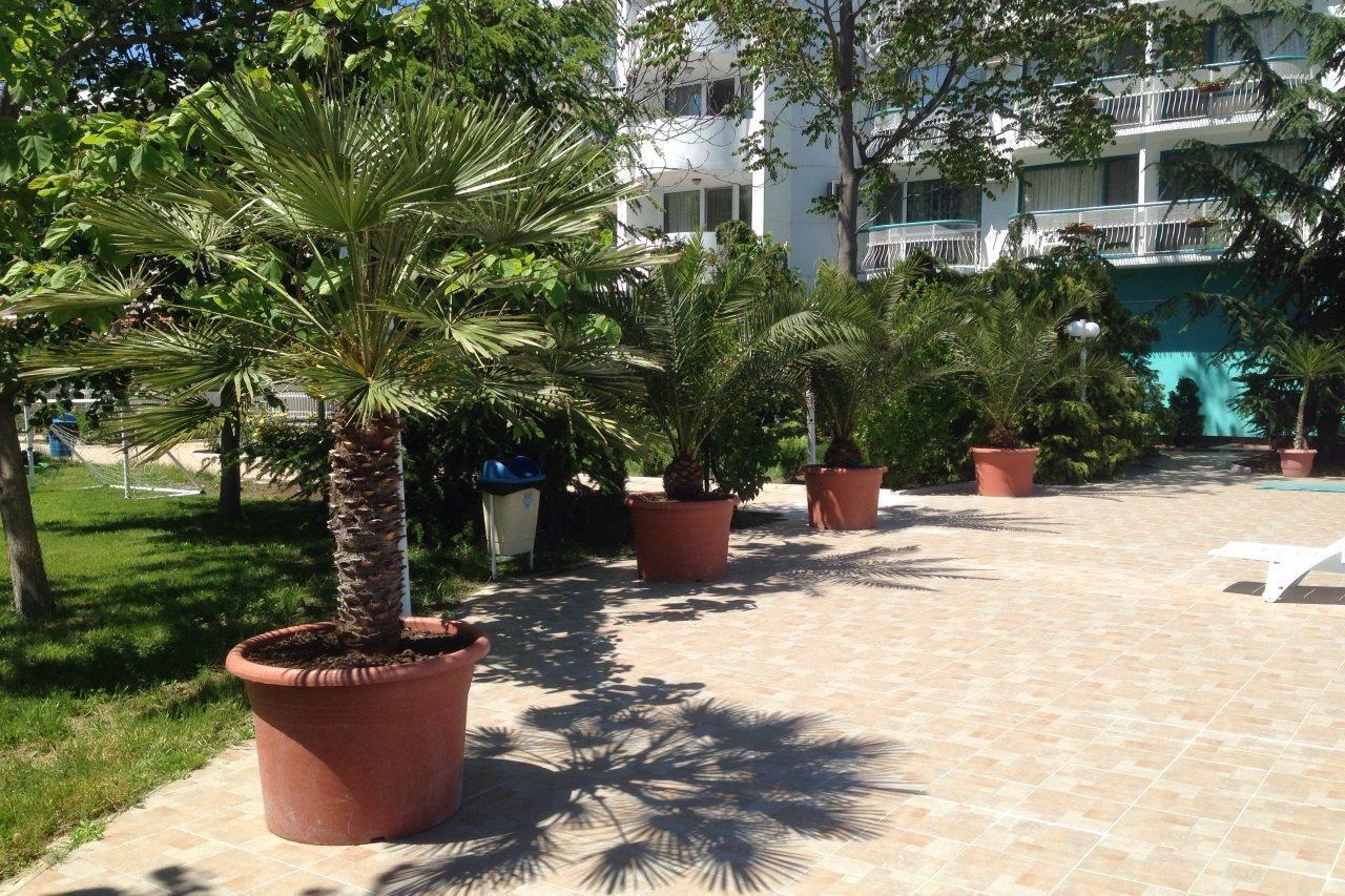 Zefir Hotel Sunny Beach Exterior photo